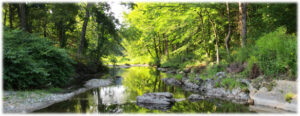 View of the South River in spring