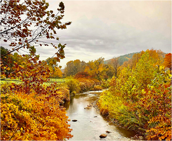 view of the south river in fall