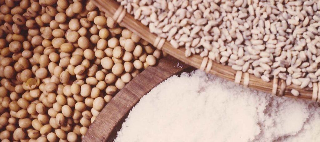 Three miso ingredients in bowls