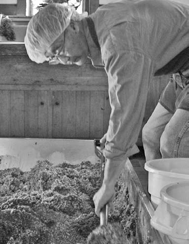 Worker shoveling miso