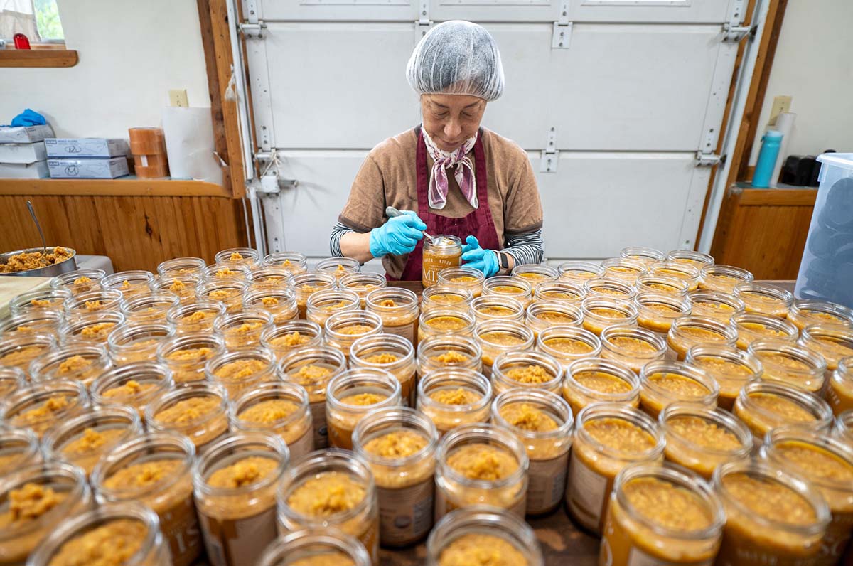 Worker checking miso in jars