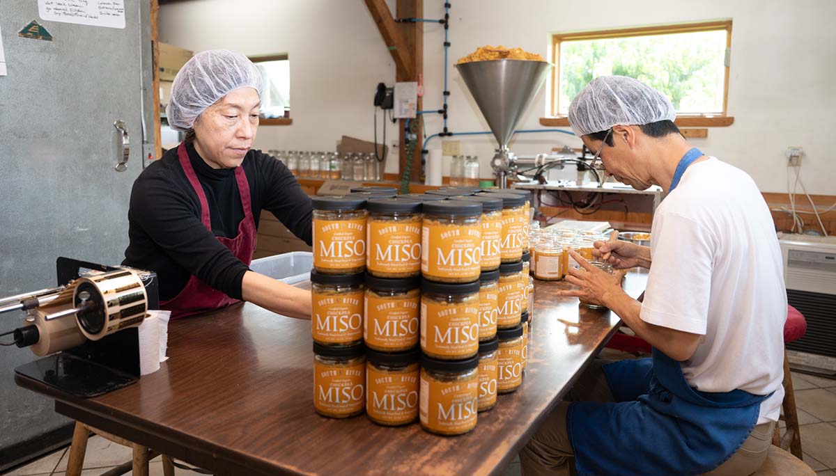 Workers processing miso into jars