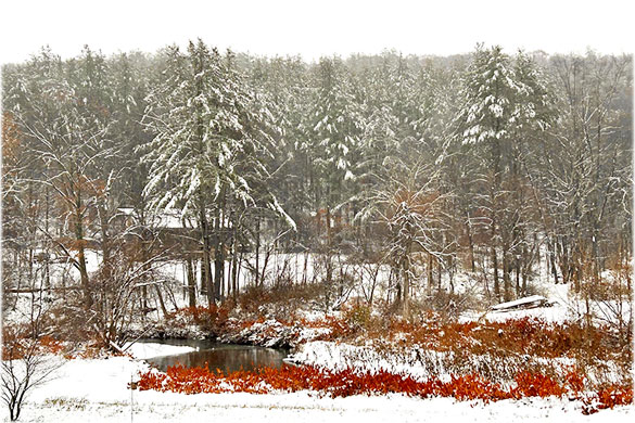 First snow of the year overlooking the South River. Photo by Gaella Elwell